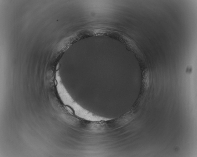 X0000111020571200907101342