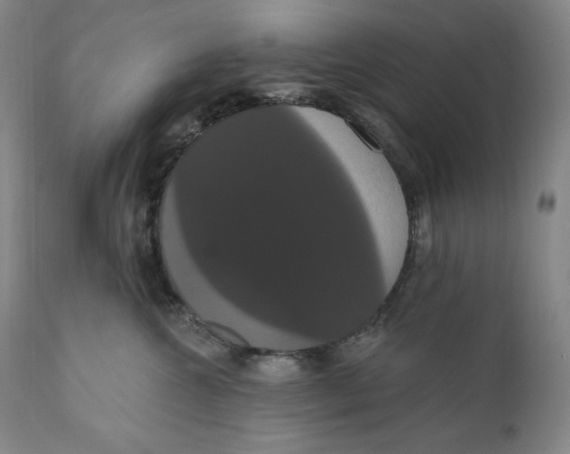 X0000111020572200907101342