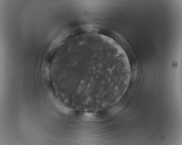 X0000111020573200907101342