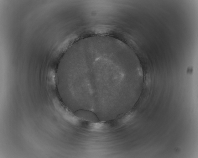 X0000111020575200907101342