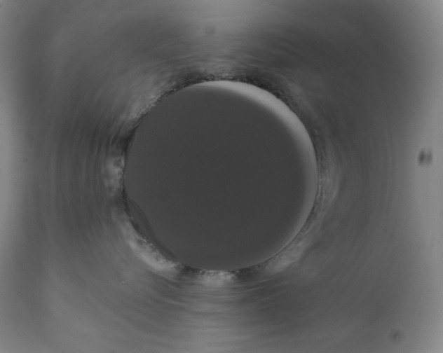 X0000111020576200907101342