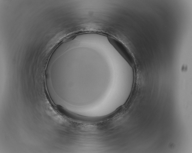 X0000111020577200907101342