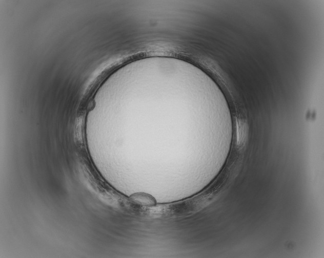X0000111020579200907101342