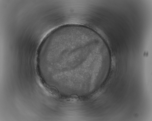 X0000111020580200907101342