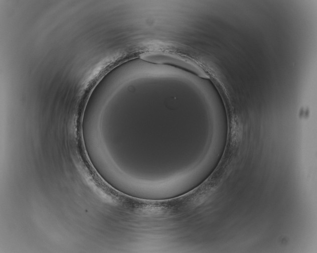 X0000111020581200907101342