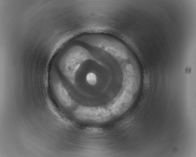 X0000111020582200907101342