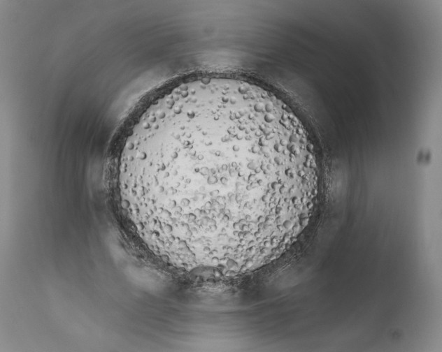 X0000111020583200907101342