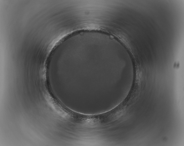 X0000111020584200907101341