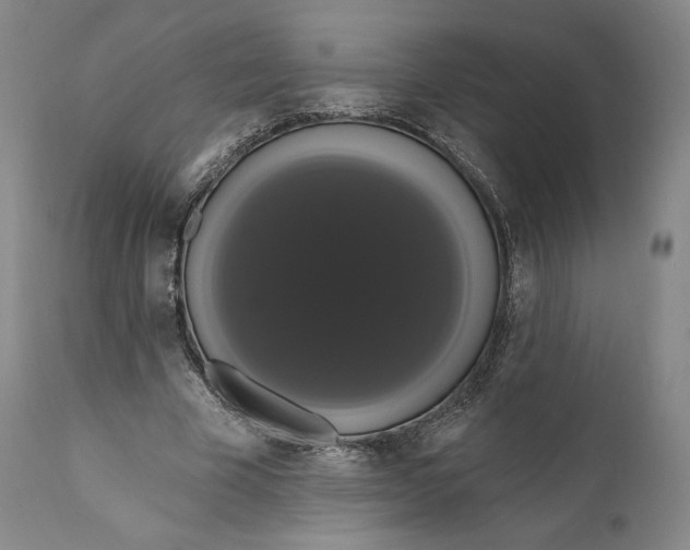 X0000111020585200907101341