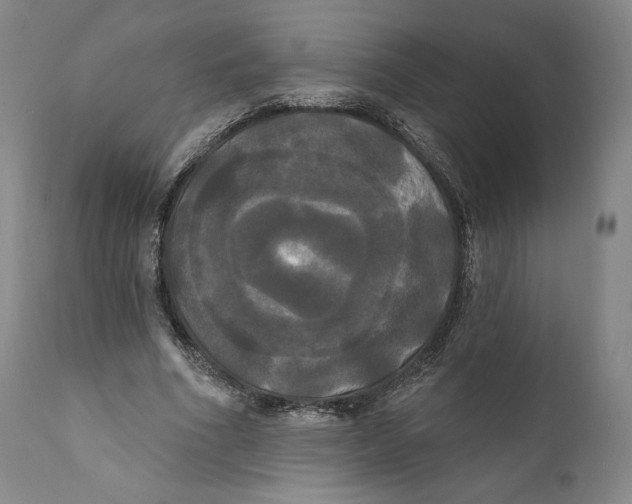 X0000111020586200907101341