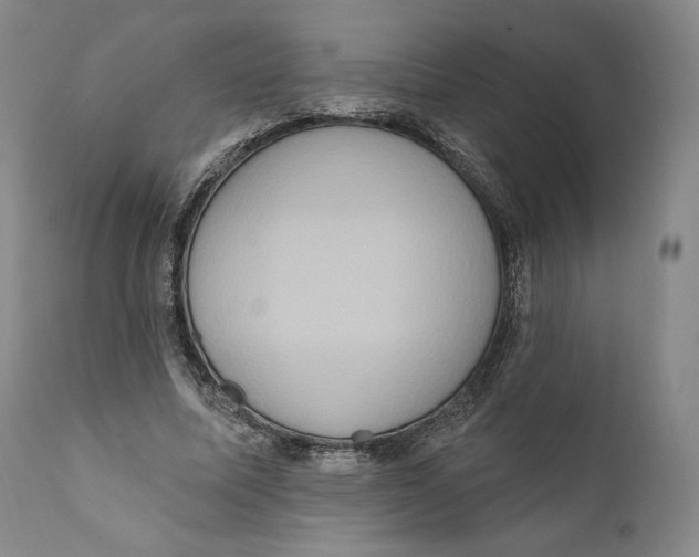 X0000111020587200907101341