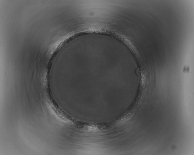 X0000111020588200907101341