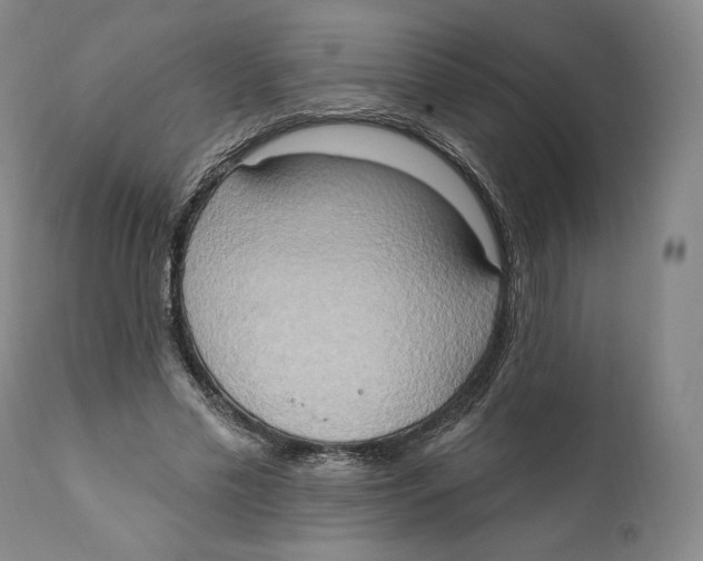 X0000111020589200907101341