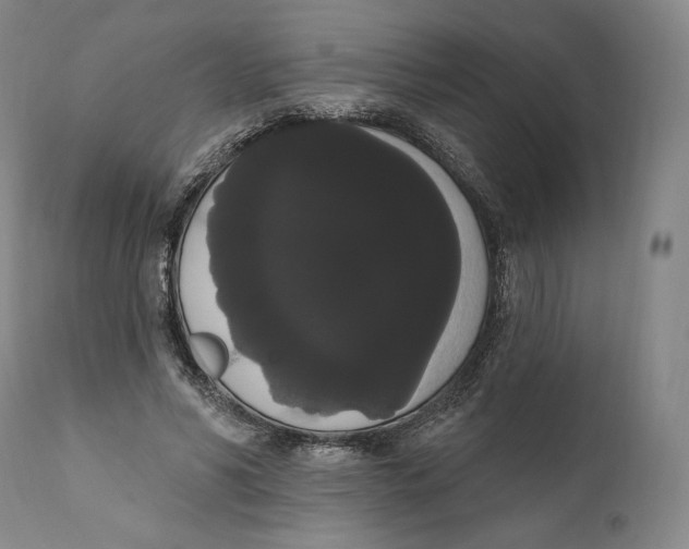 X0000111020590200907101341