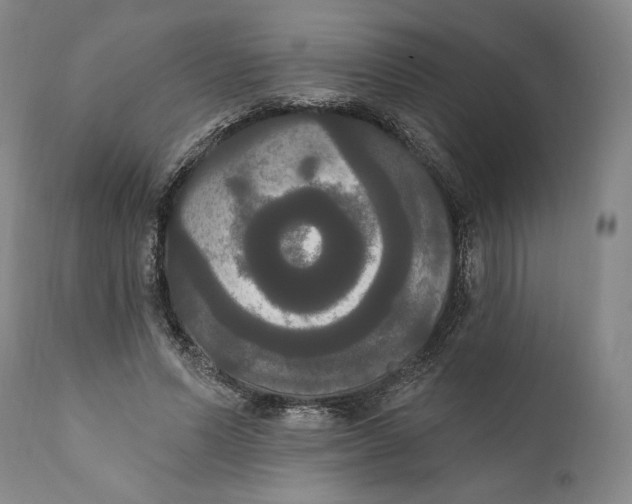 X0000111020591200907101341