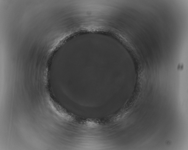 X0000111020592200907101341