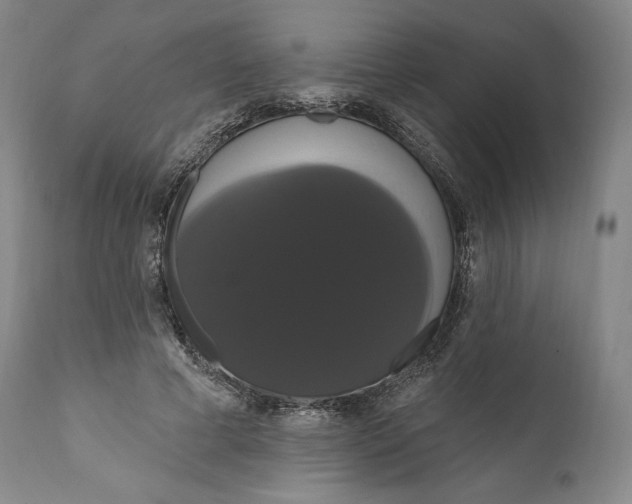 X0000111020593200907101341