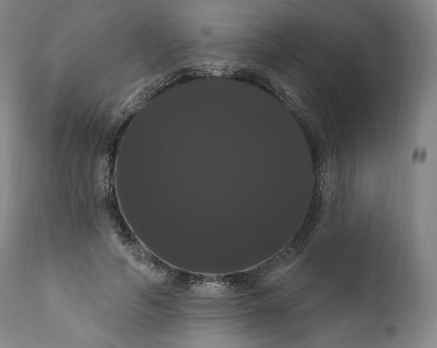 X0000111020594200907101341