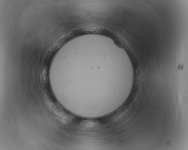 X0000111020597200907101341