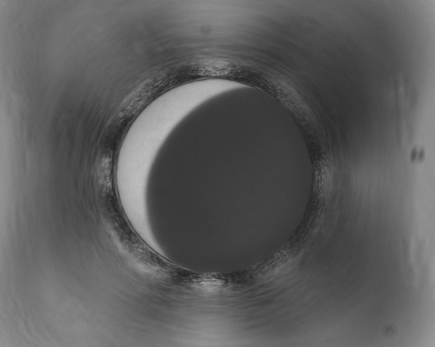 X0000111020598200907101341