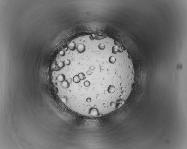 X0000111020599200907101341