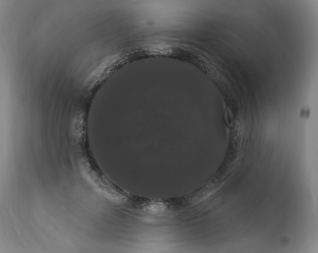 X0000111020600200907101341