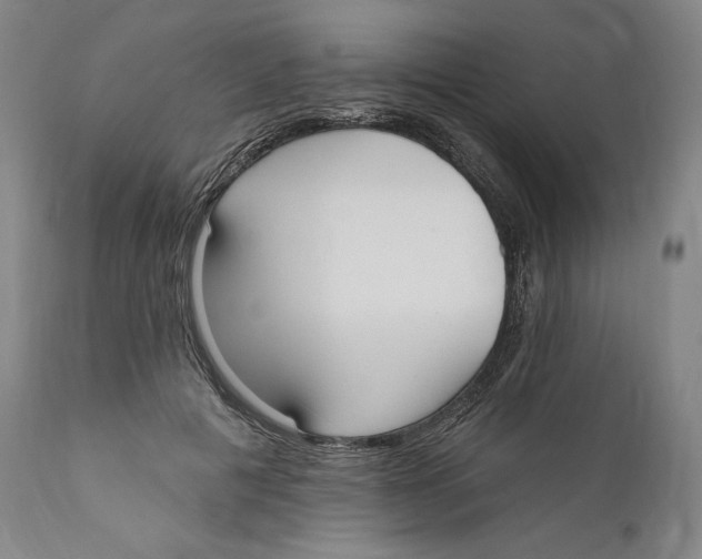 X0000111020601200907101341