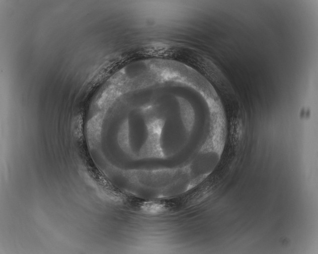 X0000111020602200907101341