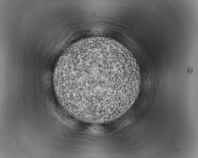 X0000111020603200907101341