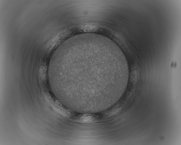 X0000111020604200907101341