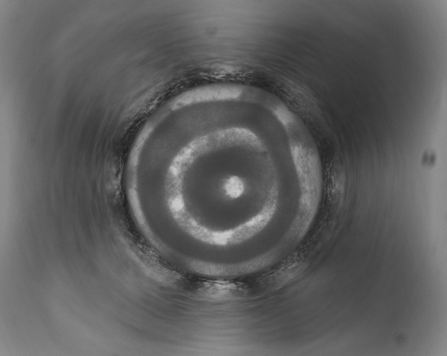 X0000111020607200907101341