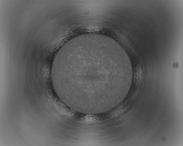 X0000111020608200907101341