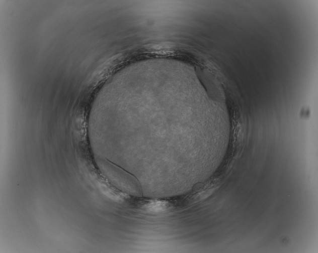 X0000111020609200907101341
