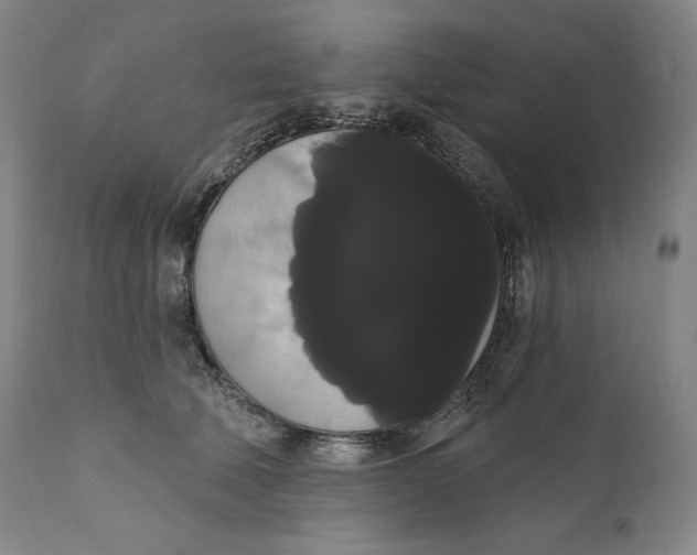 X0000111020610200907101341