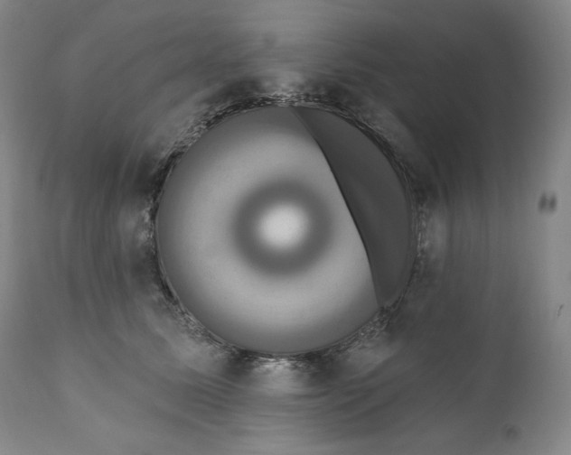 X0000111020611200907101341
