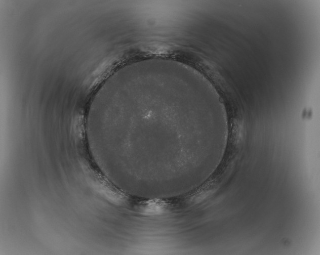 X0000111020612200907101341