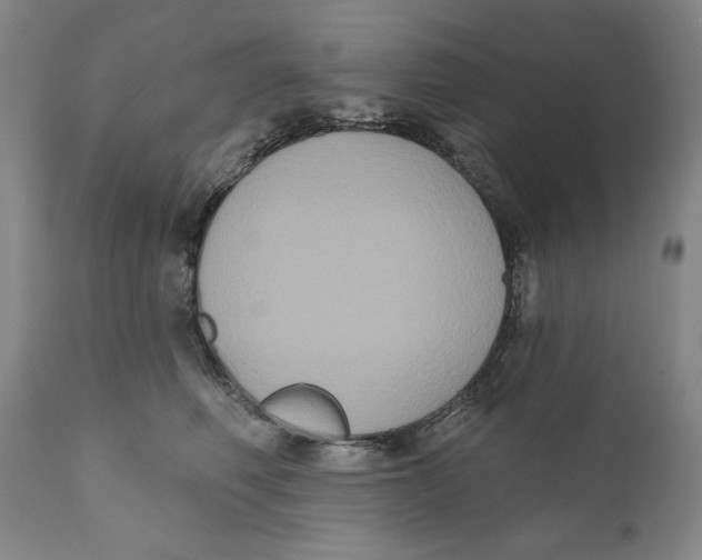 X0000111020614200907101341