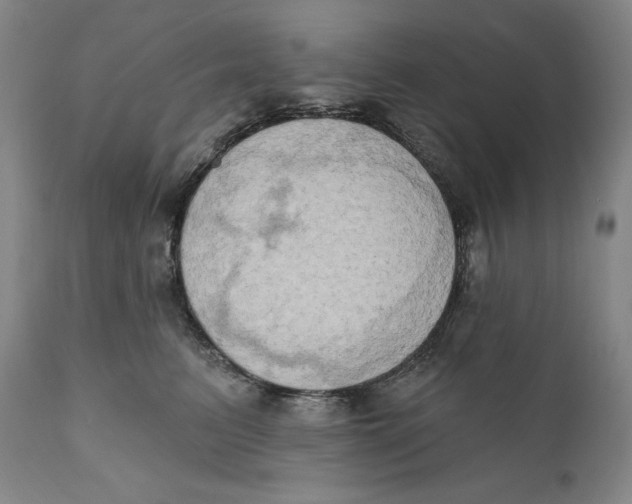 X0000111020615200907101341