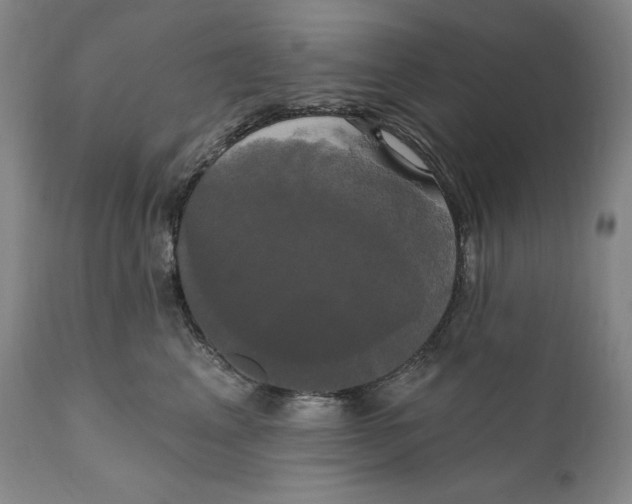X0000111020617200907101341