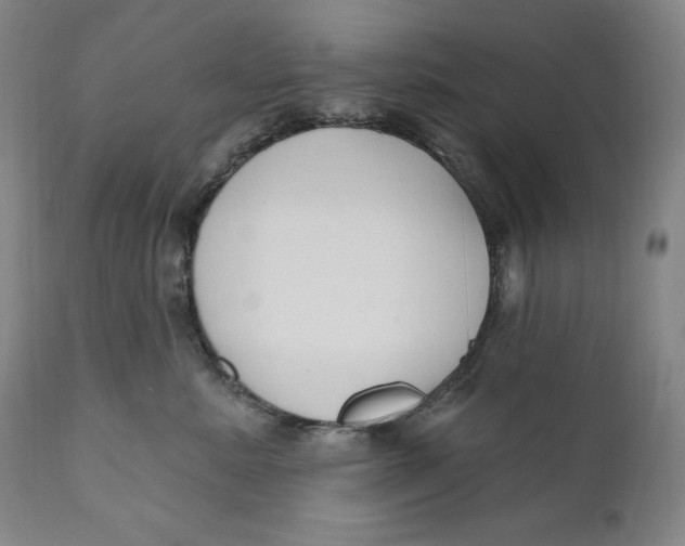 X0000111020619200907101341