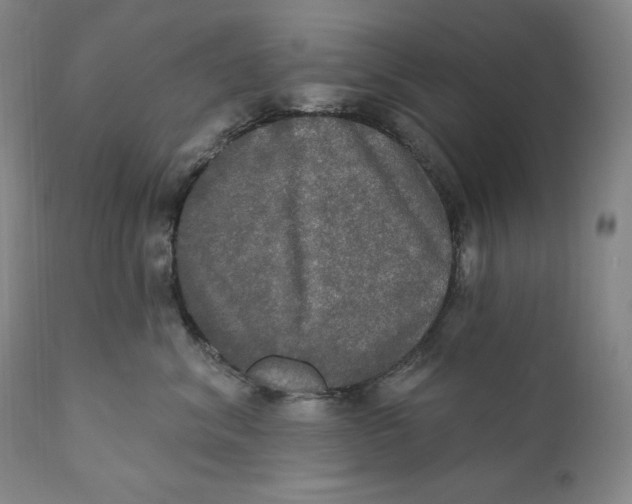X0000111020620200907101341