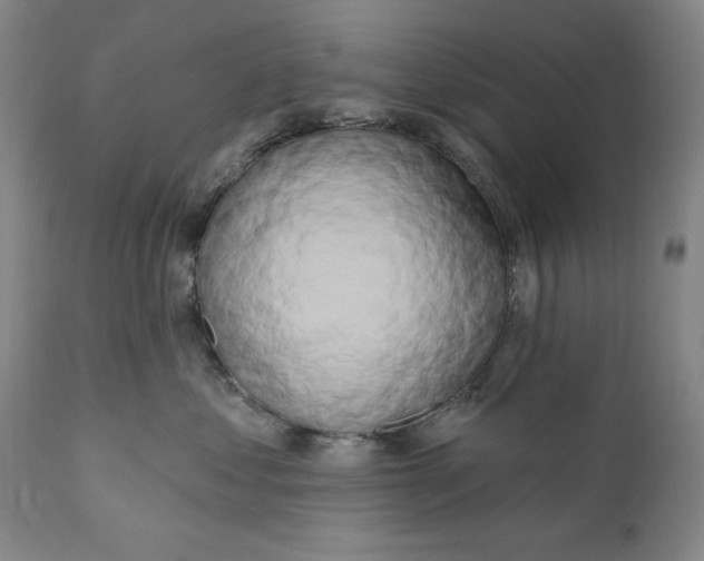 X0000111020621200907101341