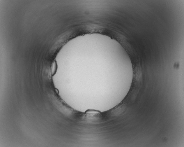 X0000111020622200907101341