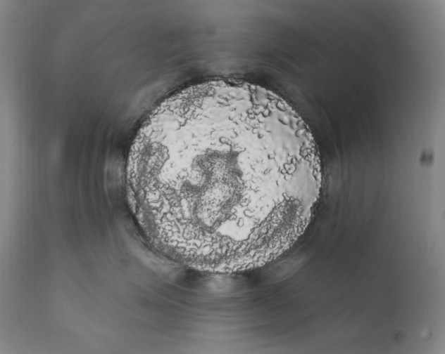 X0000111020623200907101341