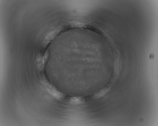 X0000111020624200907101341