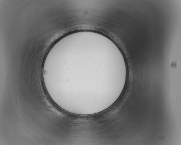 X0000111020625200907101340