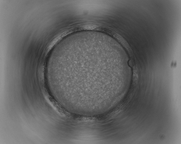 X0000111020626200907101340
