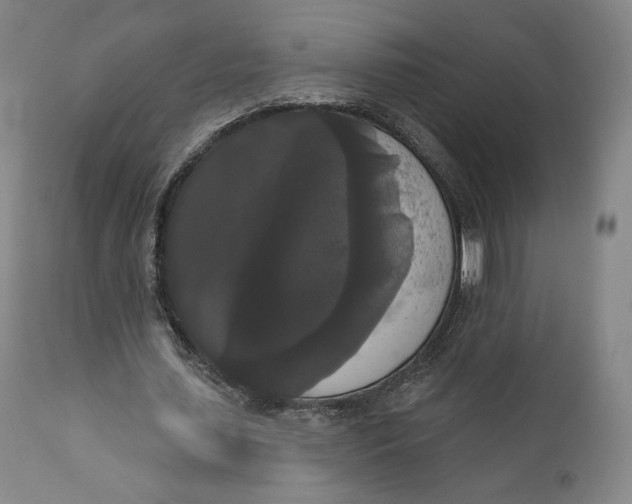 X0000111020627200907101340