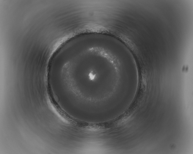 X0000111020630200907101340
