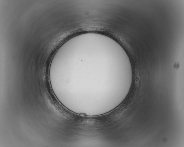 X0000111020631200907101340